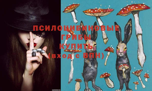 spice Лабытнанги