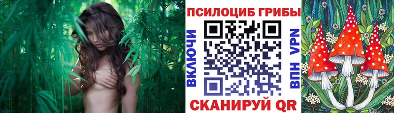 Псилоцибиновые грибы MAGIC MUSHROOMS Лысково